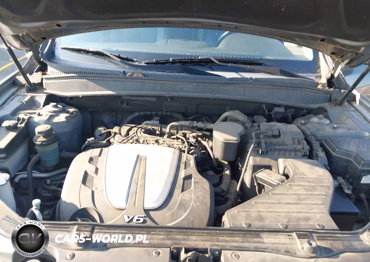 2010 Hyundai Santa Fe Limited V6 VIN:5NMSK4AG4AH380161 - 10