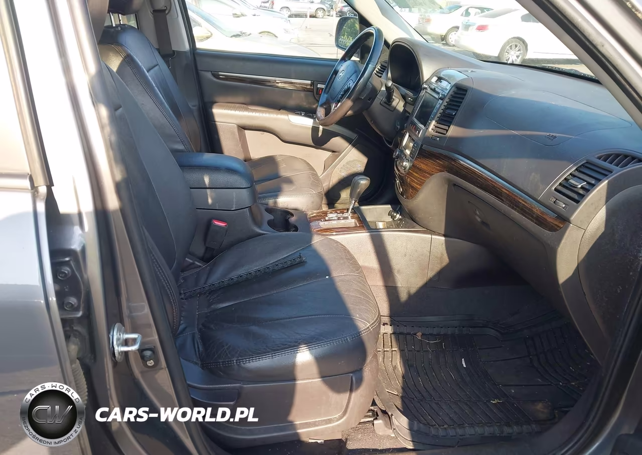 2010 Hyundai Santa Fe Limited V6 VIN:5NMSK4AG4AH380161 - 5