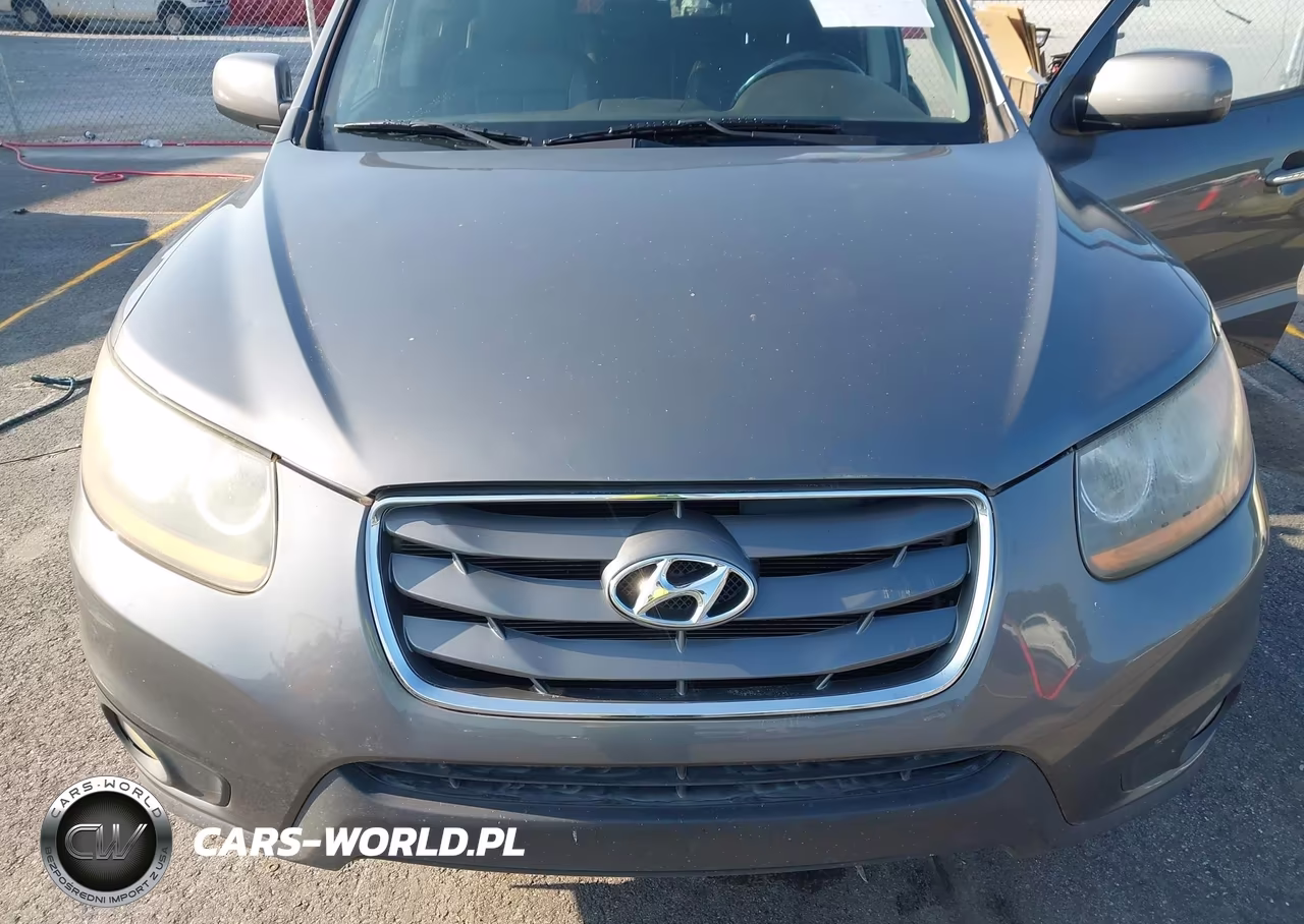 2010 Hyundai Santa Fe Limited V6 VIN:5NMSK4AG4AH380161 - 6