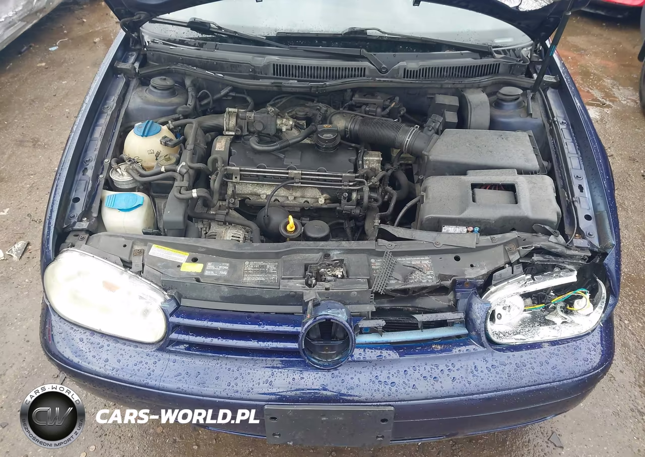2006 Volkswagen Golf Gls Tdi VIN:9BWGR61J264007683 - 10