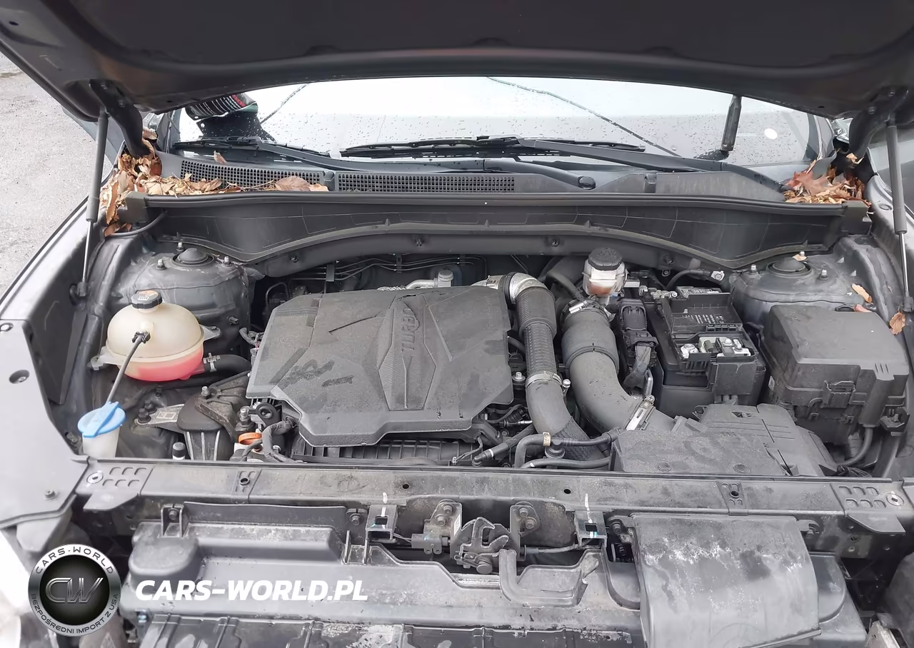 2021 Hyundai Santa Fe Limited VIN:5NMS44AL1MH317871 - 10