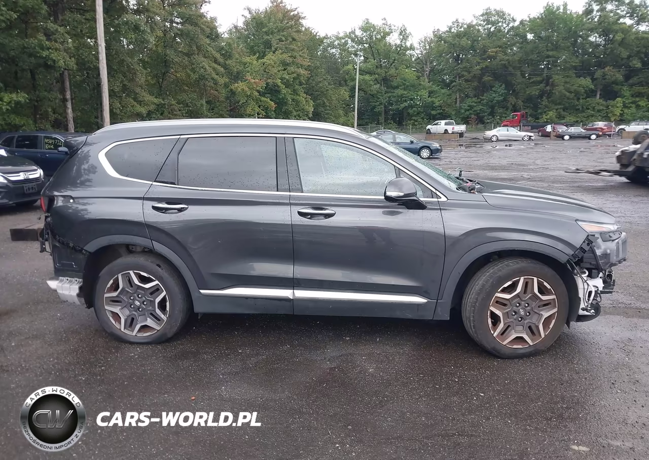 2021 Hyundai Santa Fe Limited VIN:5NMS44AL1MH317871 - 14
