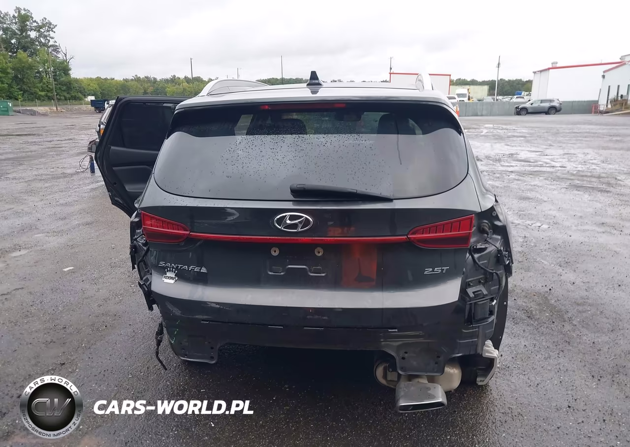 2021 Hyundai Santa Fe Limited VIN:5NMS44AL1MH317871 - 17