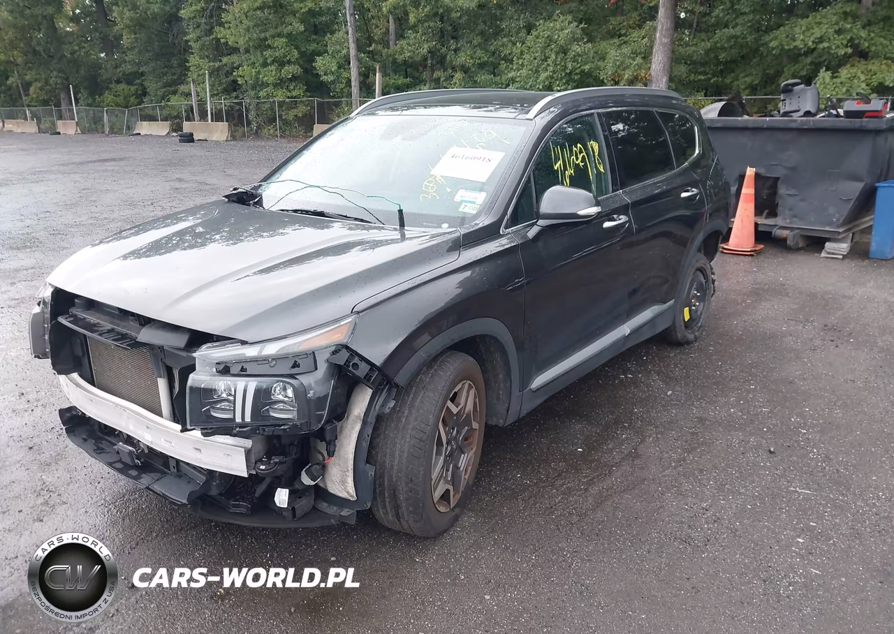 2021 Hyundai Santa Fe Limited VIN:5NMS44AL1MH317871 - 2
