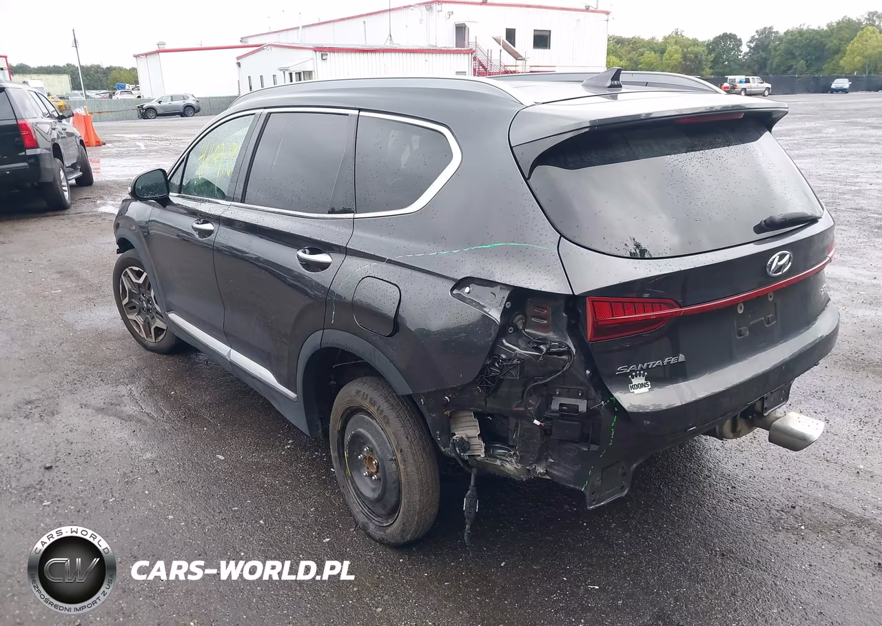 2021 Hyundai Santa Fe Limited VIN:5NMS44AL1MH317871 - 3