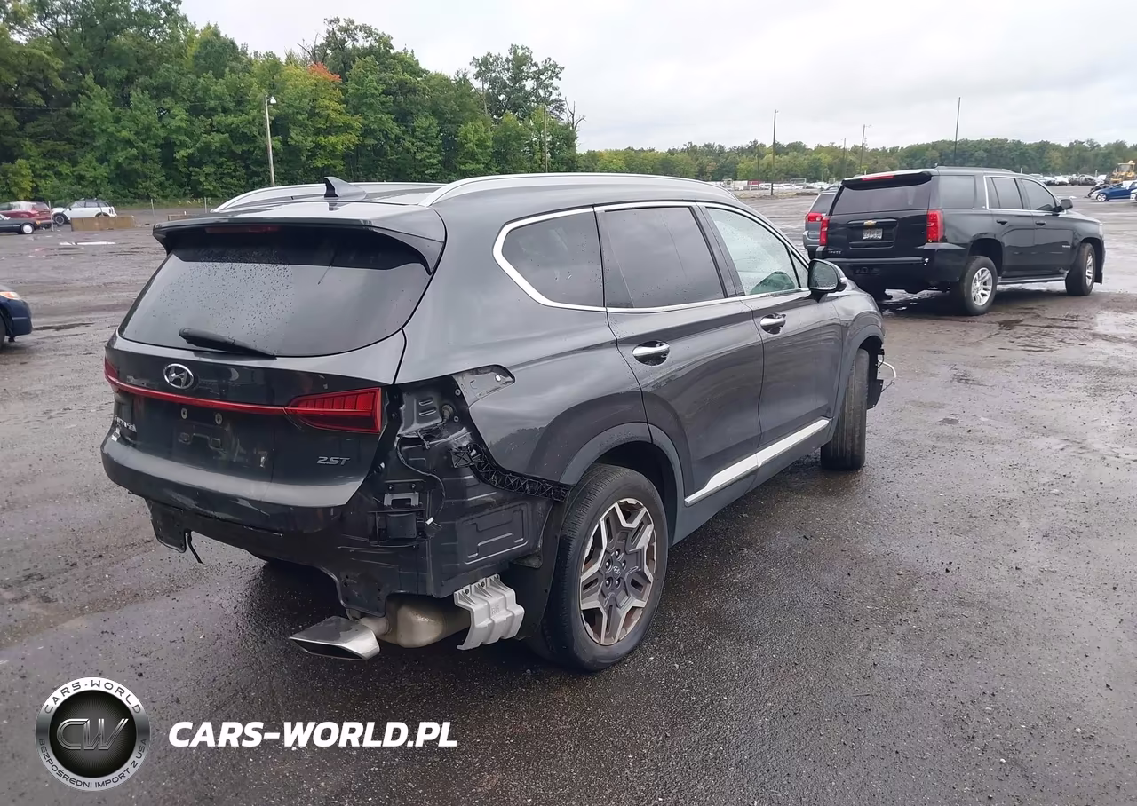 2021 Hyundai Santa Fe Limited VIN:5NMS44AL1MH317871 - 4