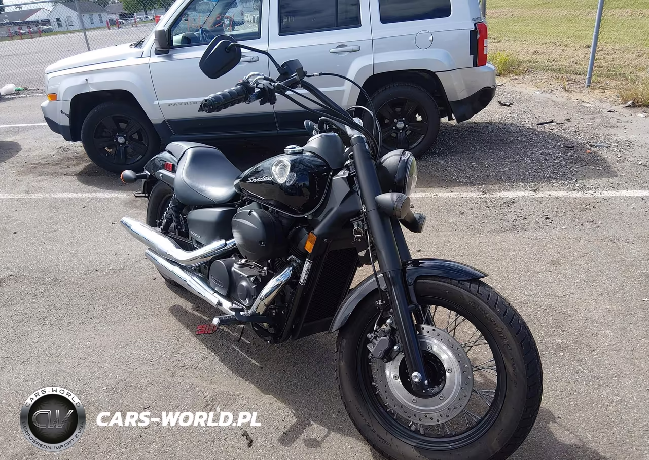 2019 Honda Vt750 C2B