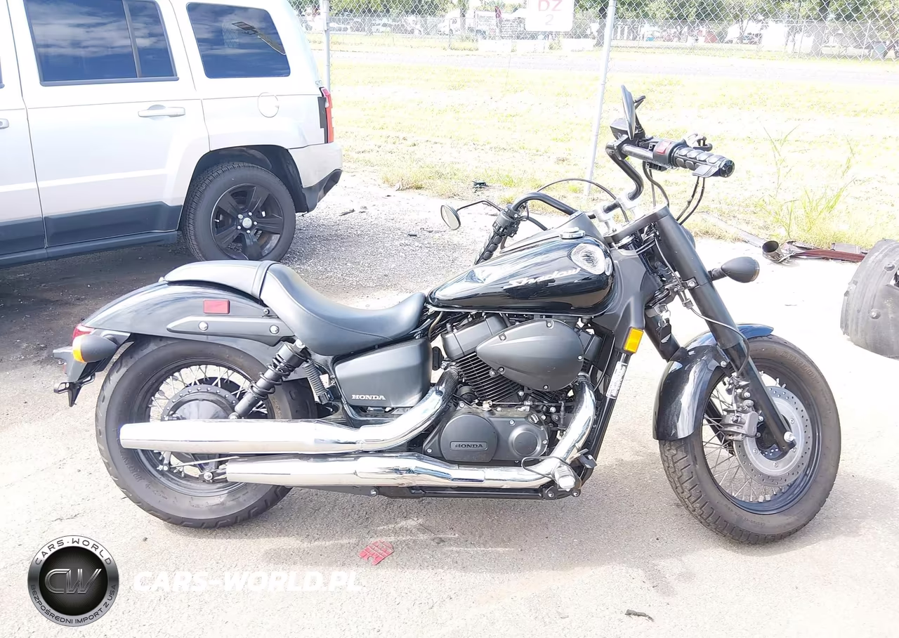 2019 Honda Vt750 C2B VIN:JH2RC537XKK900939 - 12