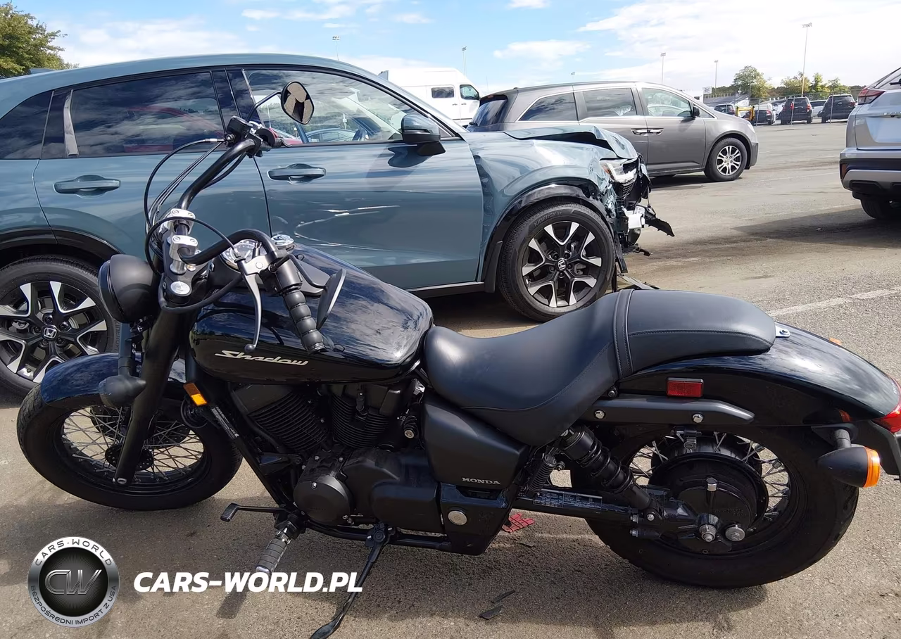 2019 Honda Vt750 C2B VIN:JH2RC537XKK900939 - 13
