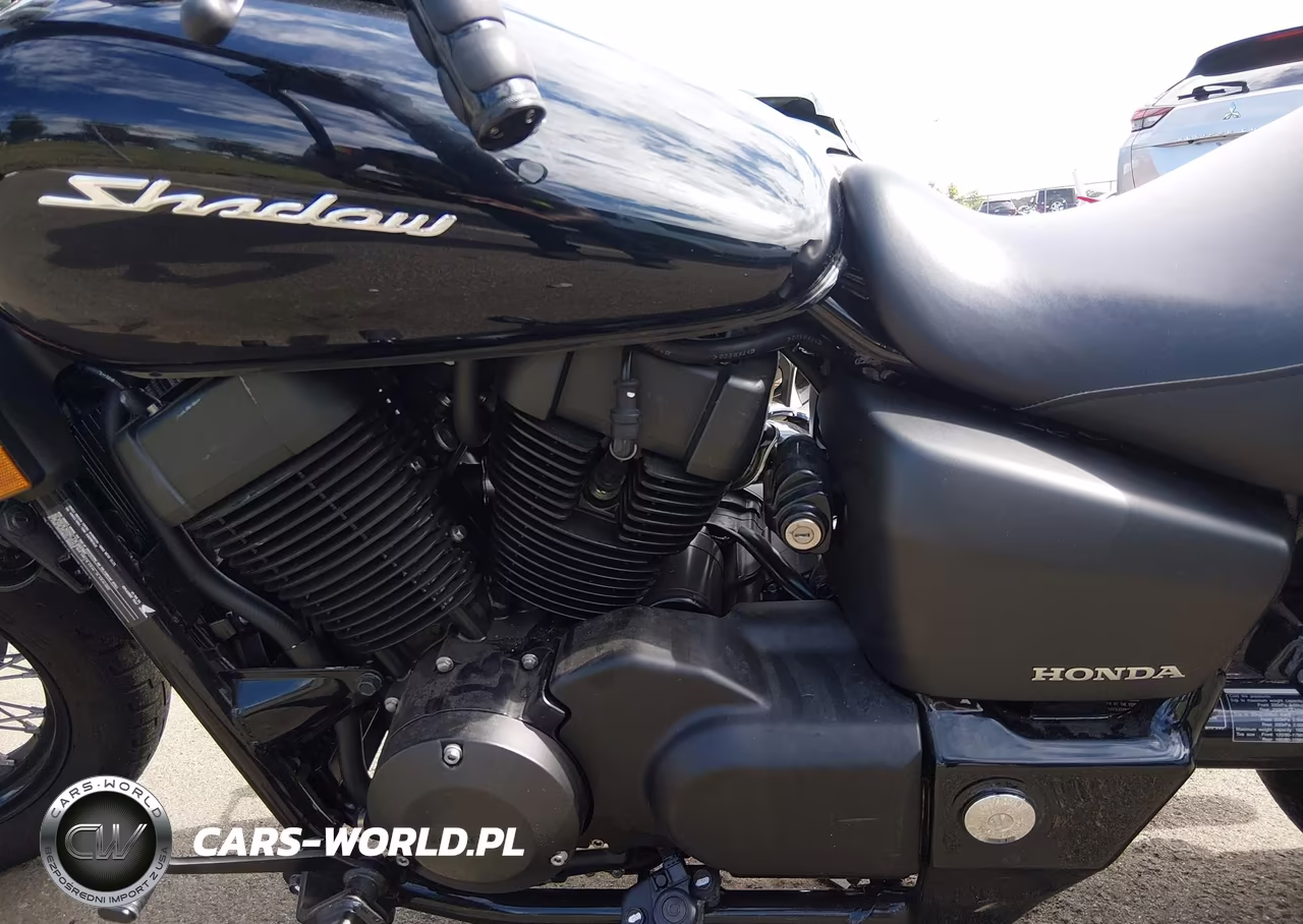 2019 Honda Vt750 C2B VIN:JH2RC537XKK900939 - 9