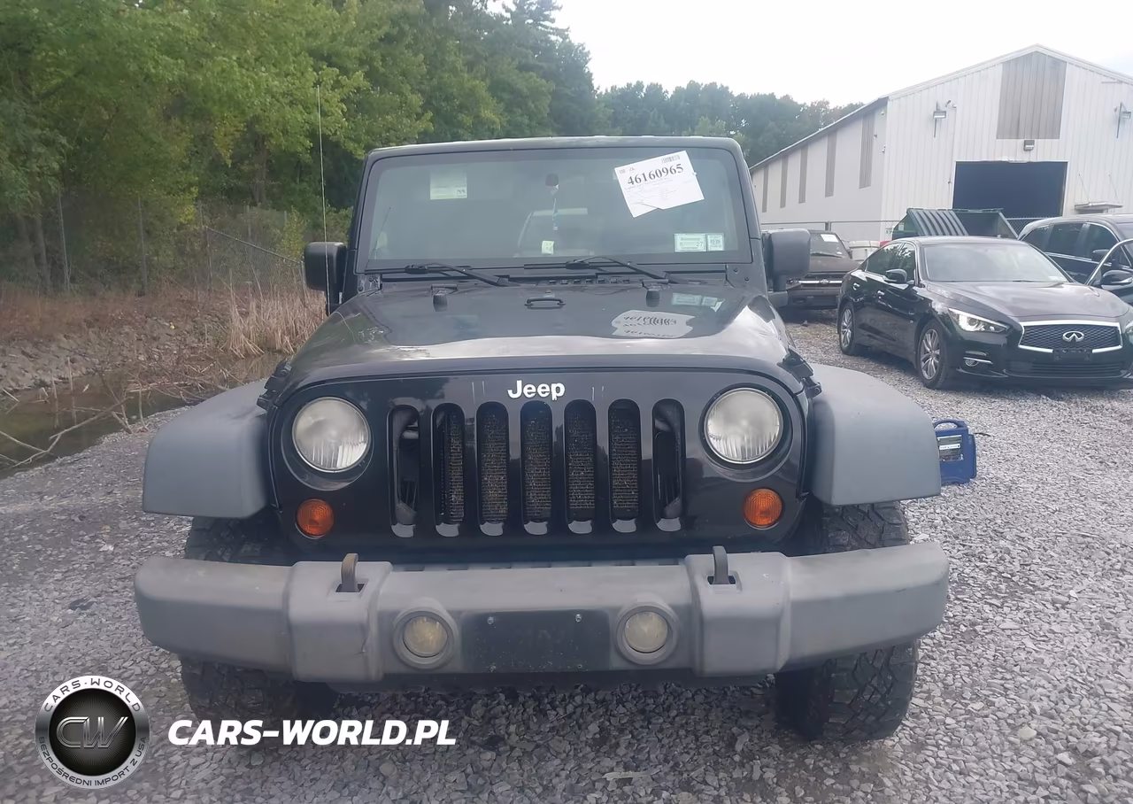 2009 Jeep Wrangler Unlimited X VIN:1J4GA39129L763989 - 12