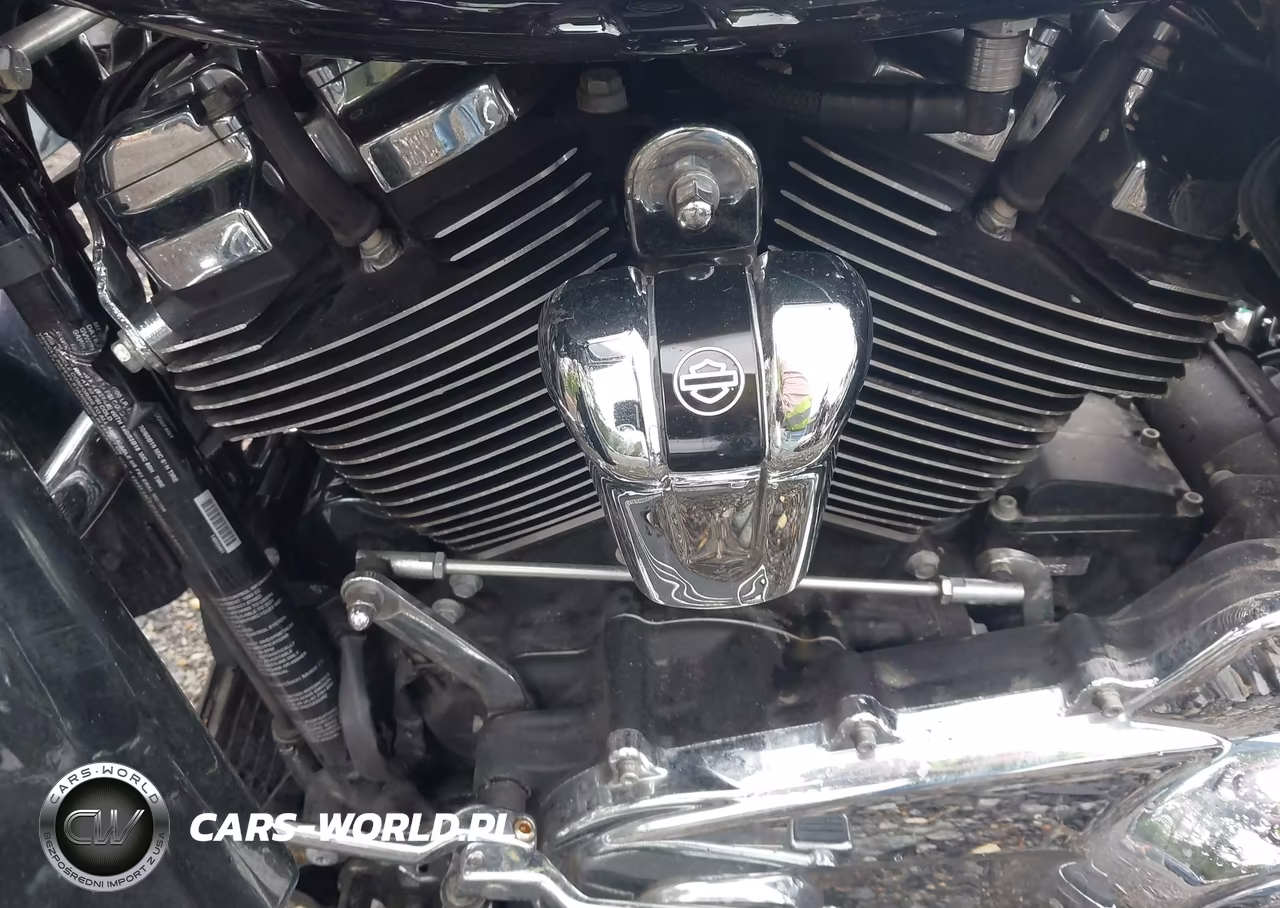 2021 Harley-Davidson Fltrxs VIN:1HD1KTP12MB641688 - 9