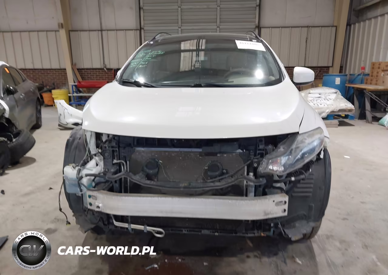 2013 Nissan Murano Le VIN:JN8AZ1MW1DW321695 - 13