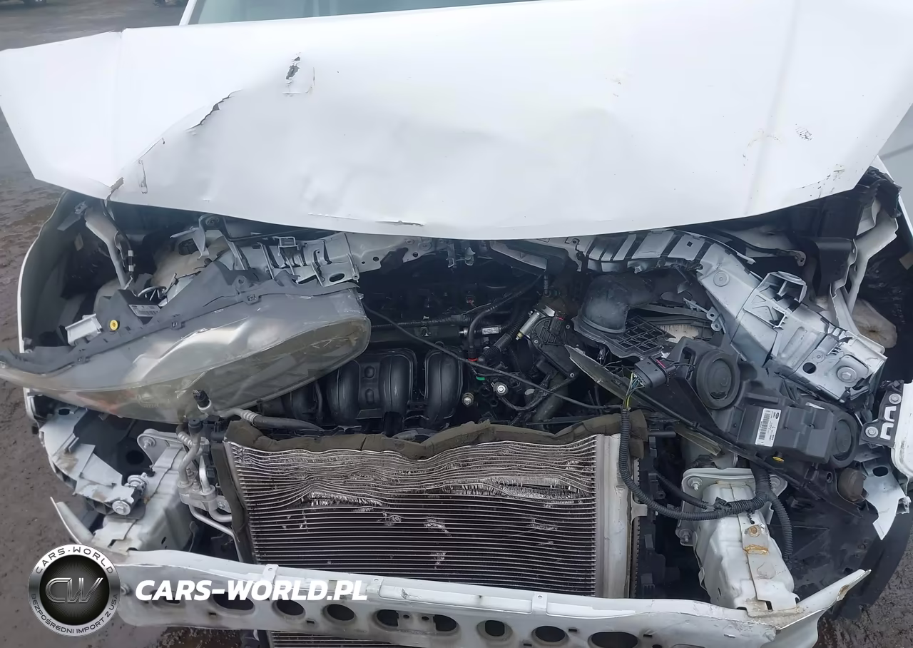 2016 Ford Transit Connect Xl VIN:NM0GS9E78G1260926 - 10
