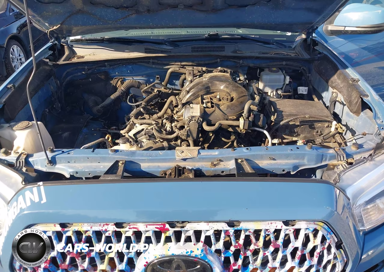 2019 Toyota Tacoma Trd Off Road VIN:3TMDZ5BN7KM076845 - 10