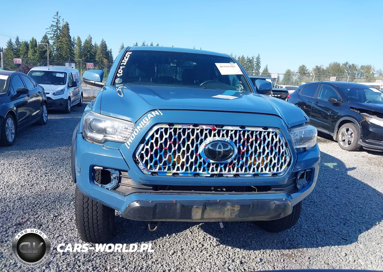 2019 Toyota Tacoma Trd Off Road VIN:3TMDZ5BN7KM076845 - 12