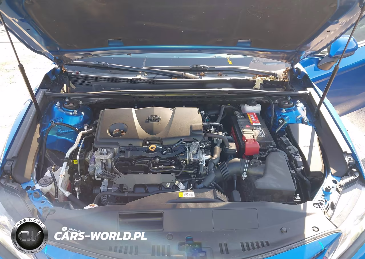 2020 Toyota Camry Se VIN:4T1G11AK1LU343832 - 10