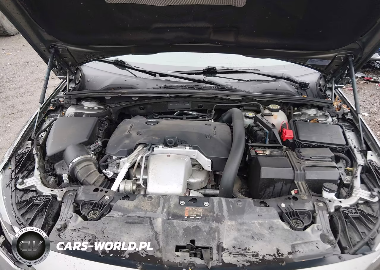 2019 Buick Regal Tourx Awd Essence VIN:W04GV8SX0K1024296 - 10