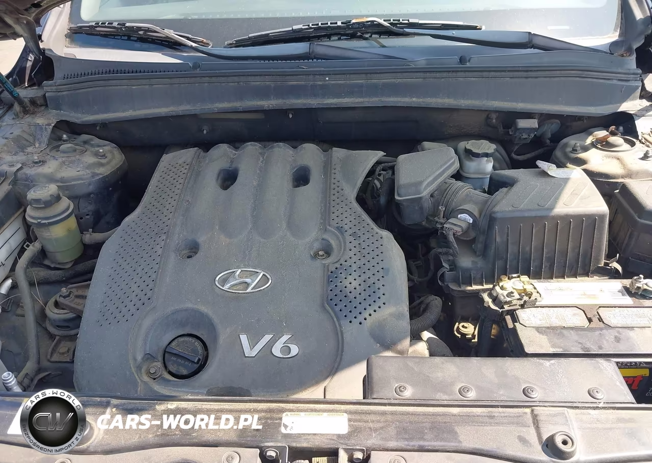 2008 Hyundai Santa Fe Gls VIN:5NMSG13D68H166818 - 10