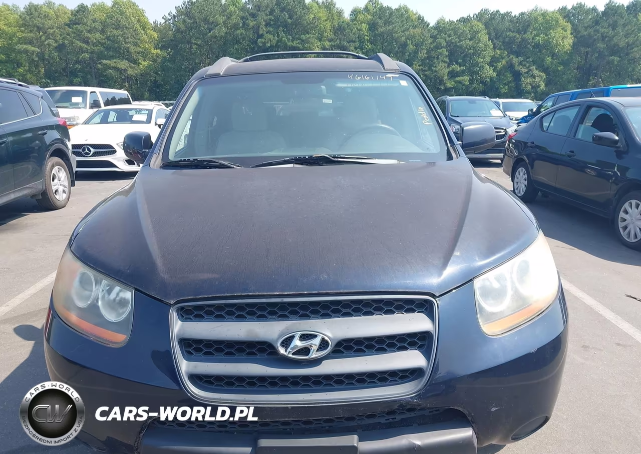 2008 Hyundai Santa Fe Gls VIN:5NMSG13D68H166818 - 6