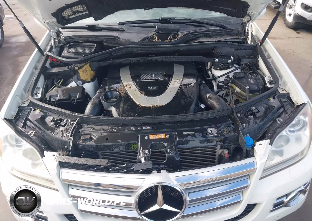 2009 Mercedes-Benz Gl 550 4Matic VIN:4JGBF86E29A481624 - 10