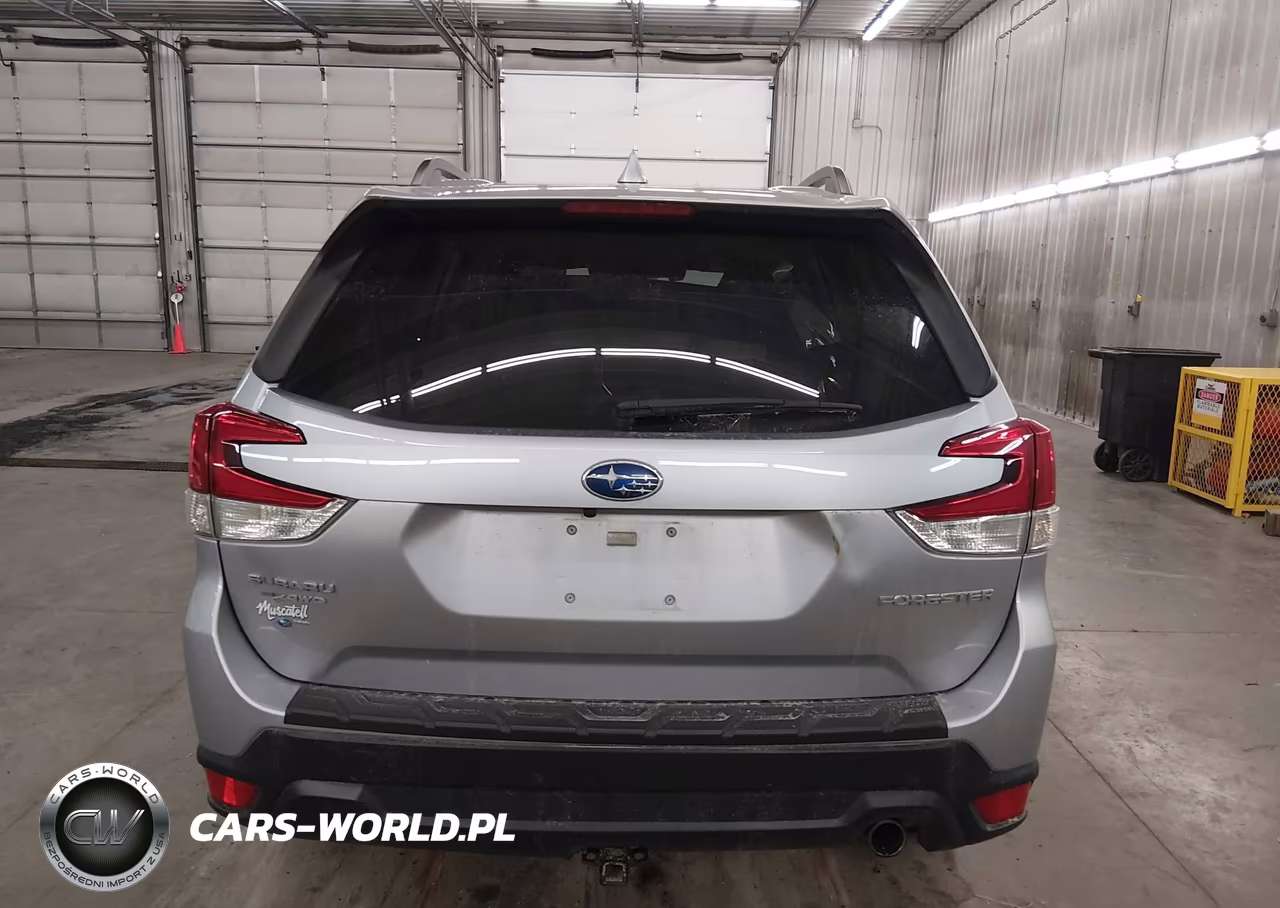 2019 Subaru Forester Limited VIN:JF2SKASC8KH471903 - 17