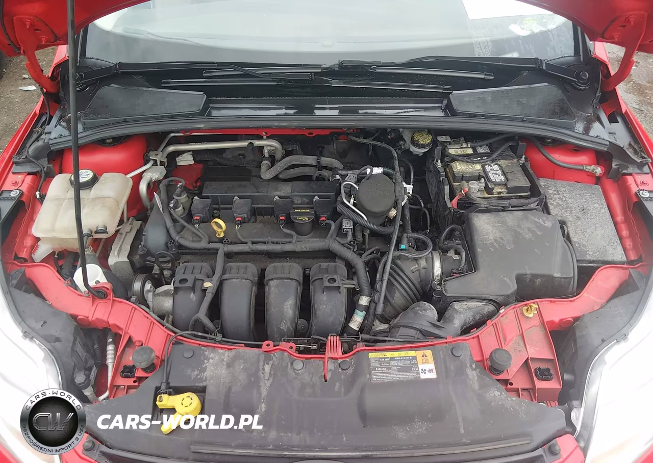 2013 Ford Focus Se VIN:1FADP3F24DL156124 - 10