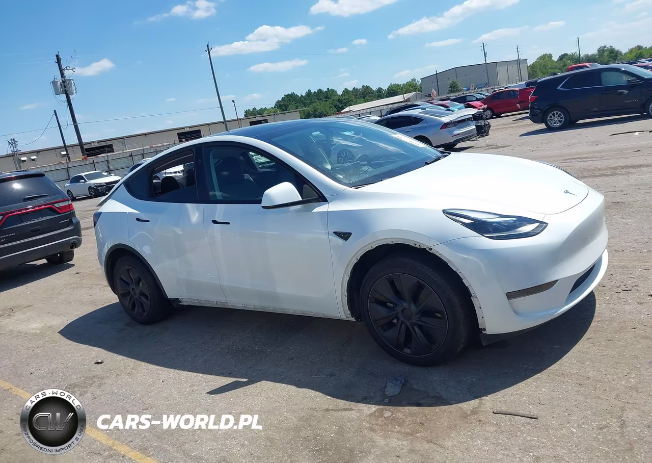 2025 Tesla Model Y Long Range Dual Motor Rear-Wheel Drive VIN:7SAYGDED5SA359690 - 13