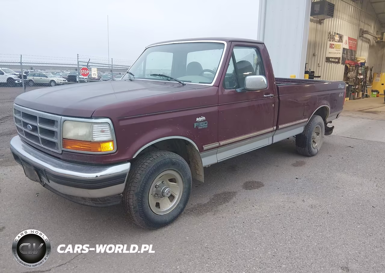 1996 Ford F150 VIN:1FTEF14N9TLA53542 - 2