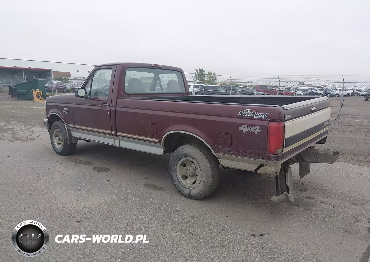 1996 Ford F150 VIN:1FTEF14N9TLA53542 - 3