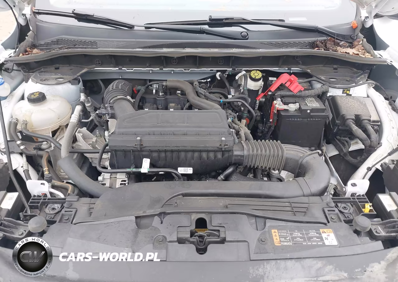 2024 Ford Escape Active VIN:1FMCU0GN1RUA21279 - 10