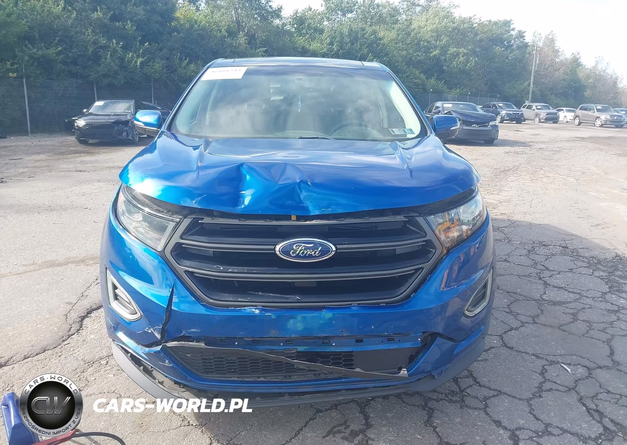 2018 Ford Edge Sport VIN:2FMPK4AP9JBC04416 - 12