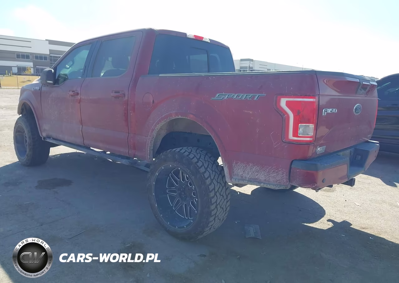 2016 Ford F-150 Xlt VIN:1FTEW1CF4GKE42210 - 3