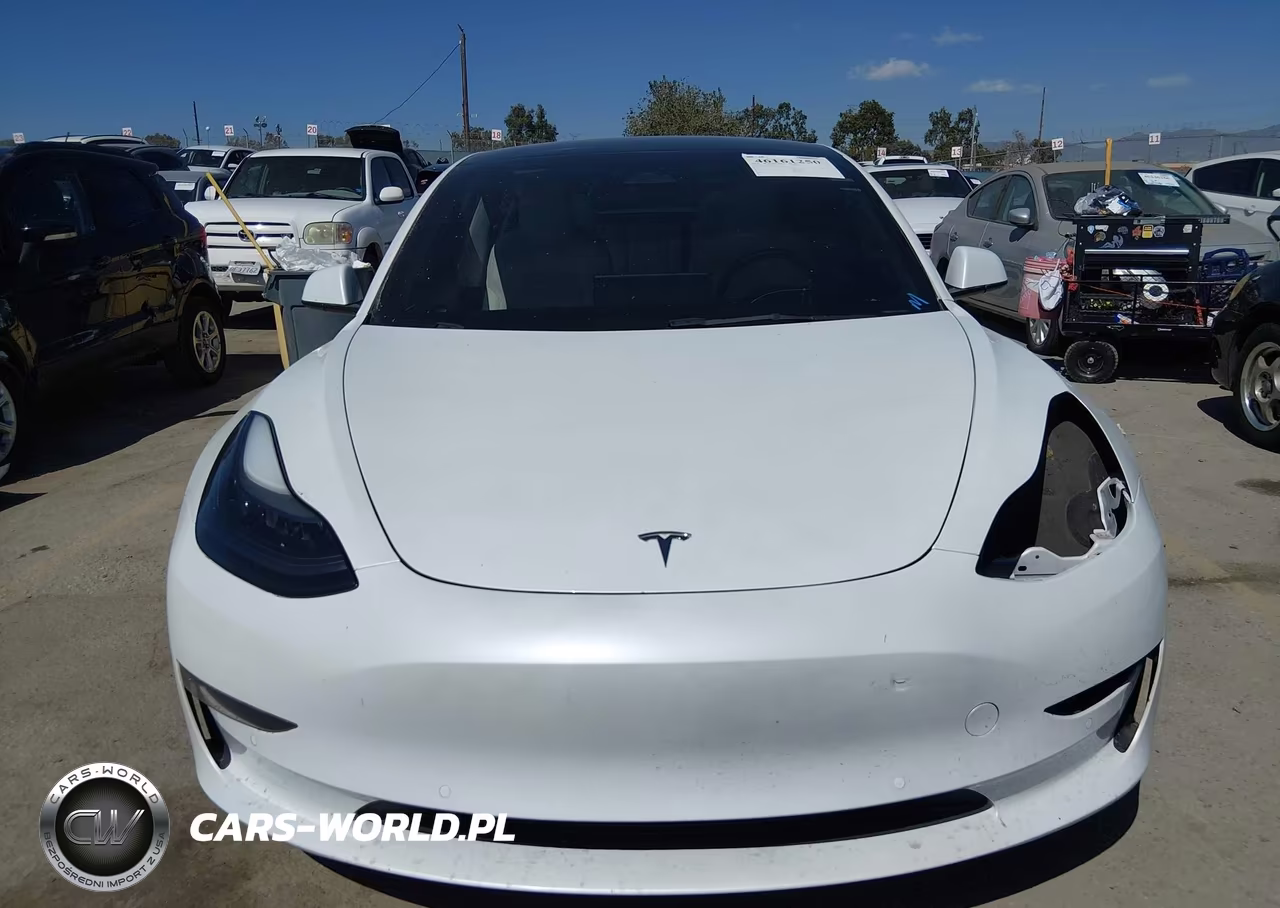 2022 Tesla Model 3 Rear-Wheel Drive VIN:5YJ3E1EA2NF374673 - 12
