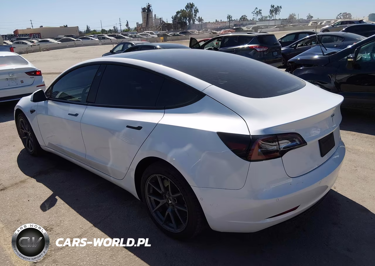 2022 Tesla Model 3 Rear-Wheel Drive VIN:5YJ3E1EA2NF374673 - 3