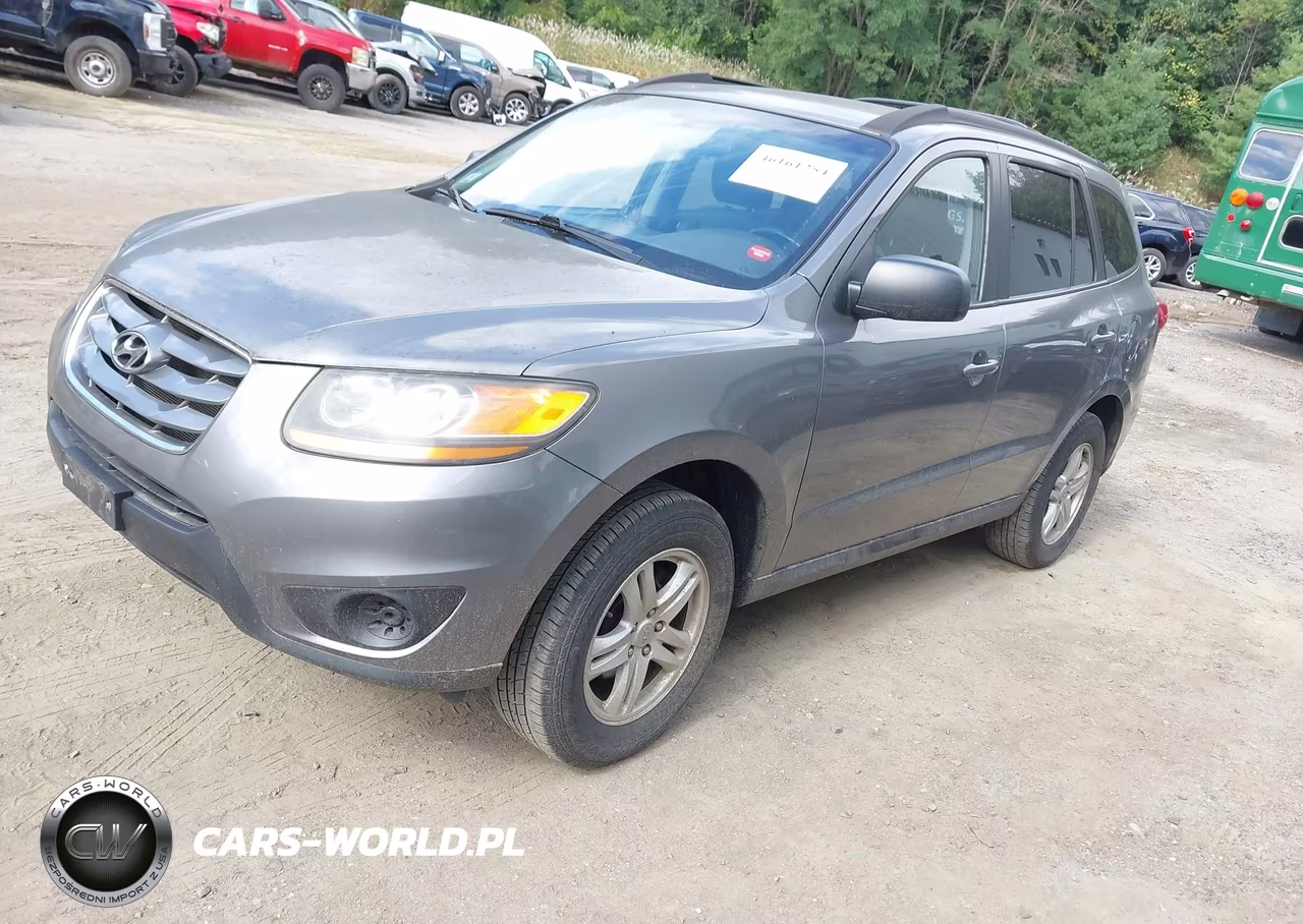 2010 Hyundai Santa Fe Gls VIN:5NMSGDAB9AH409840 - 2