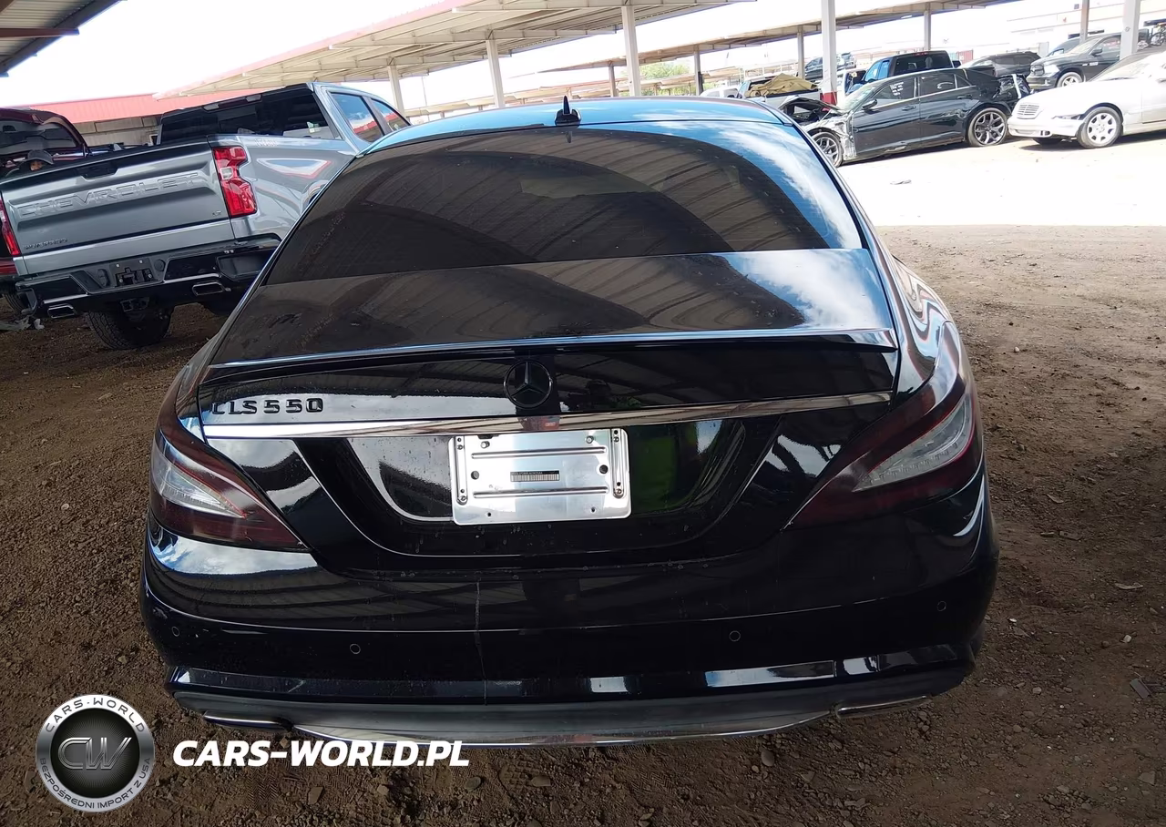 2014 Mercedes-Benz Cls 550 VIN:WDDLJ7DB8EA090584 - 16