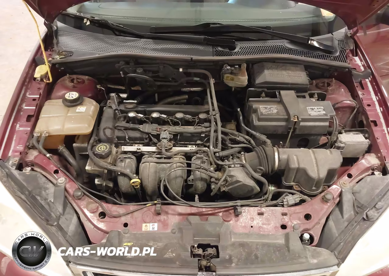 2006 Ford Focus Zxw VIN:1FAHP36N06W201489 - 10
