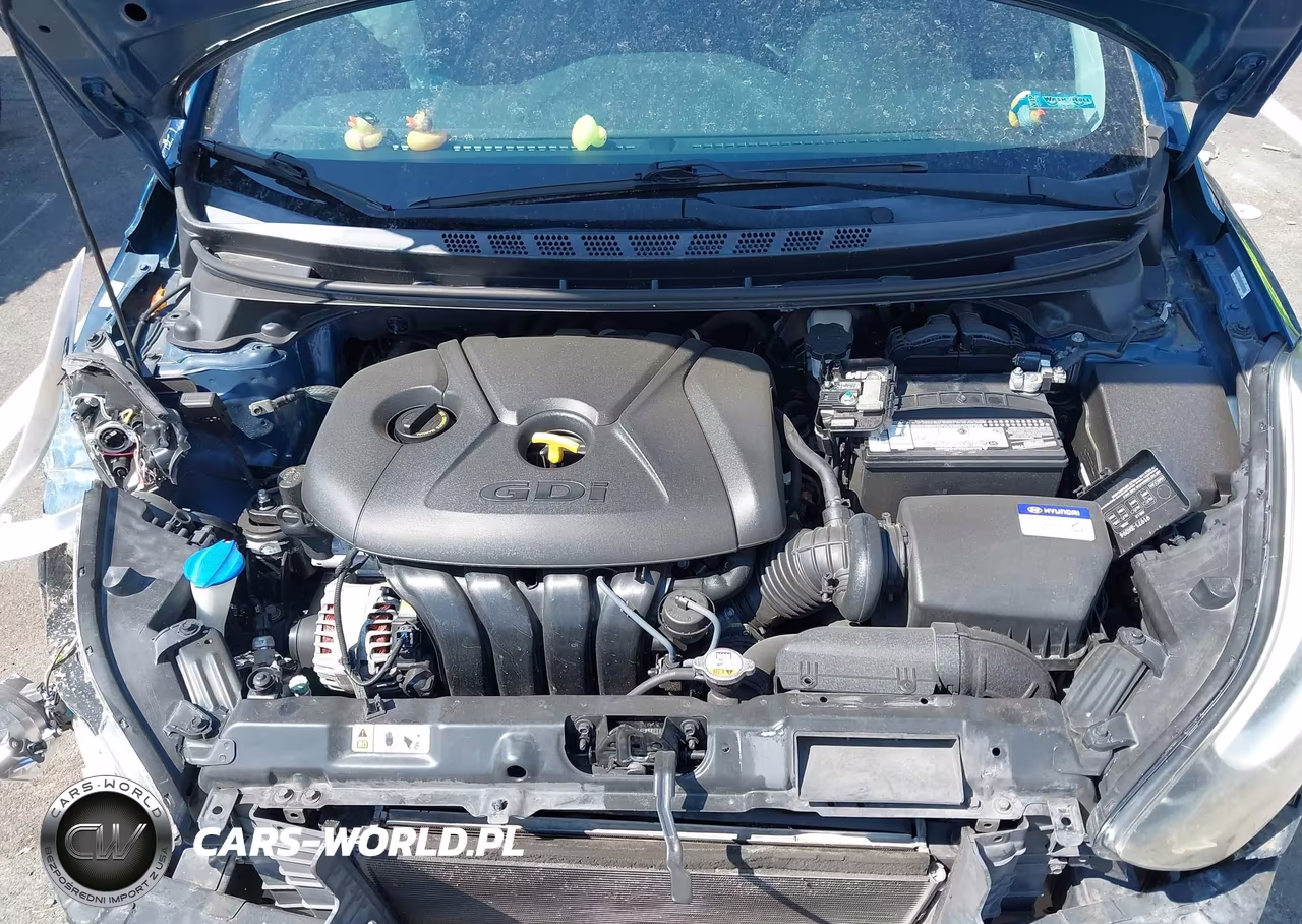 2014 Hyundai Elantra VIN:KMHDH6AH7EU029346 - 10