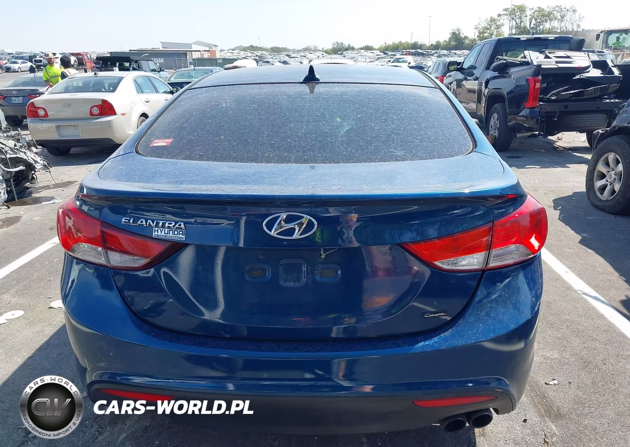 2014 Hyundai Elantra VIN:KMHDH6AH7EU029346 - 17