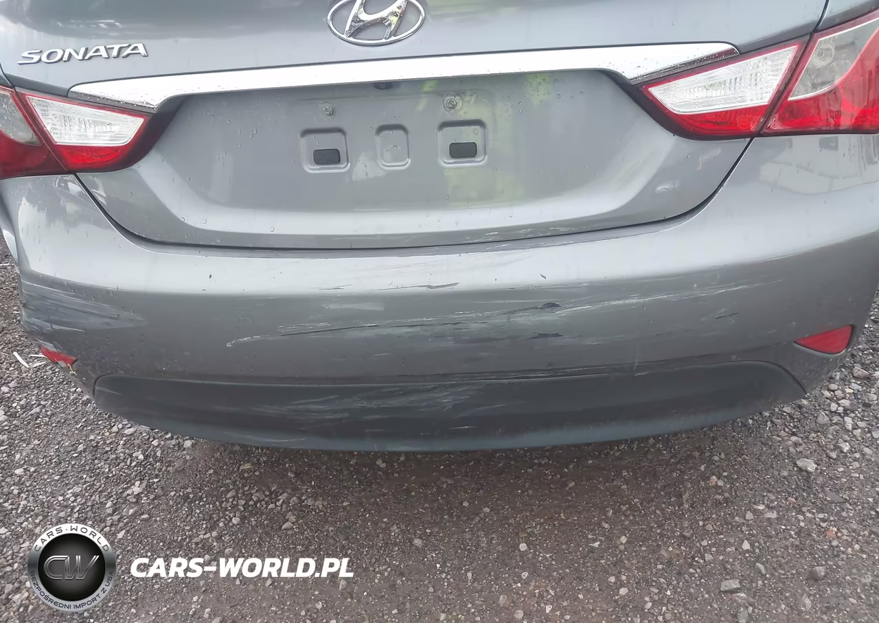 2014 Hyundai Sonata Gls VIN:5NPEB4AC9EH942929 - 12