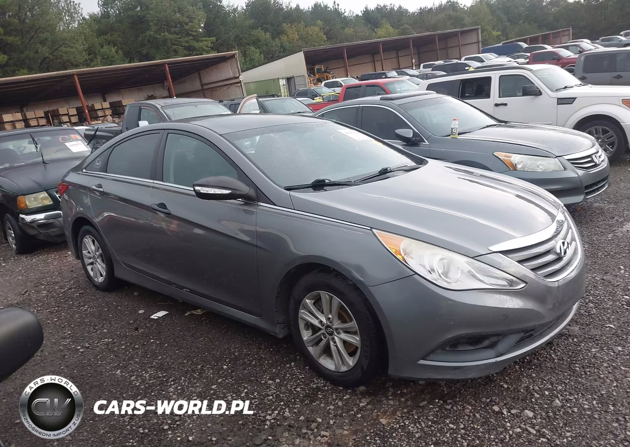 2014 Hyundai Sonata Gls VIN:5NPEB4AC9EH942929 - 14