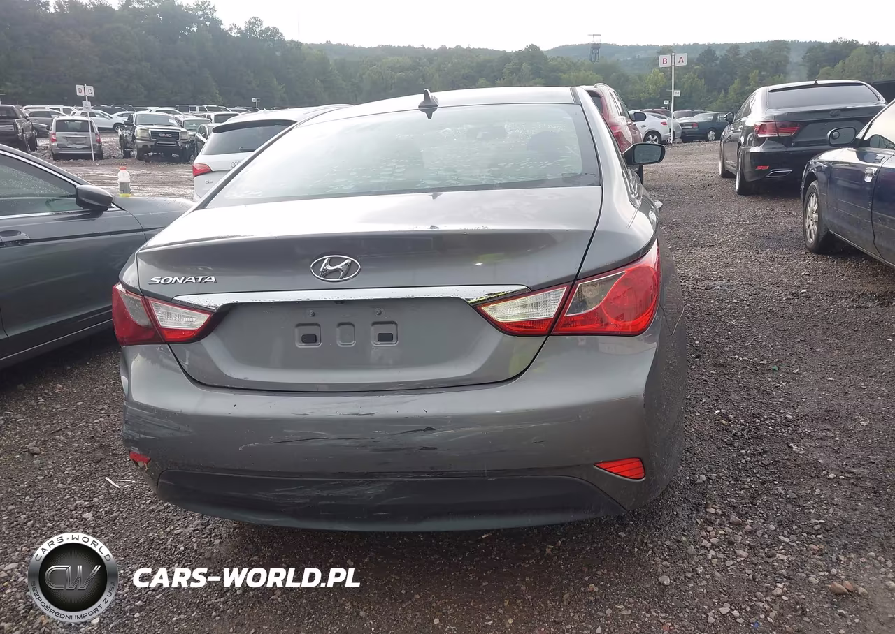 2014 Hyundai Sonata Gls VIN:5NPEB4AC9EH942929 - 17