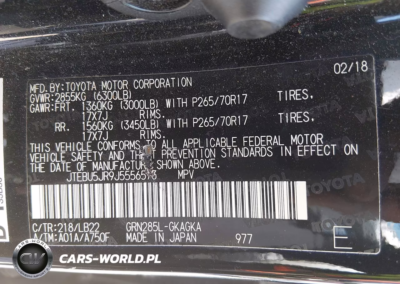 2018 Toyota 4Runner Sr5 Premium VIN:JTEBU5JR9J5556573 - 9