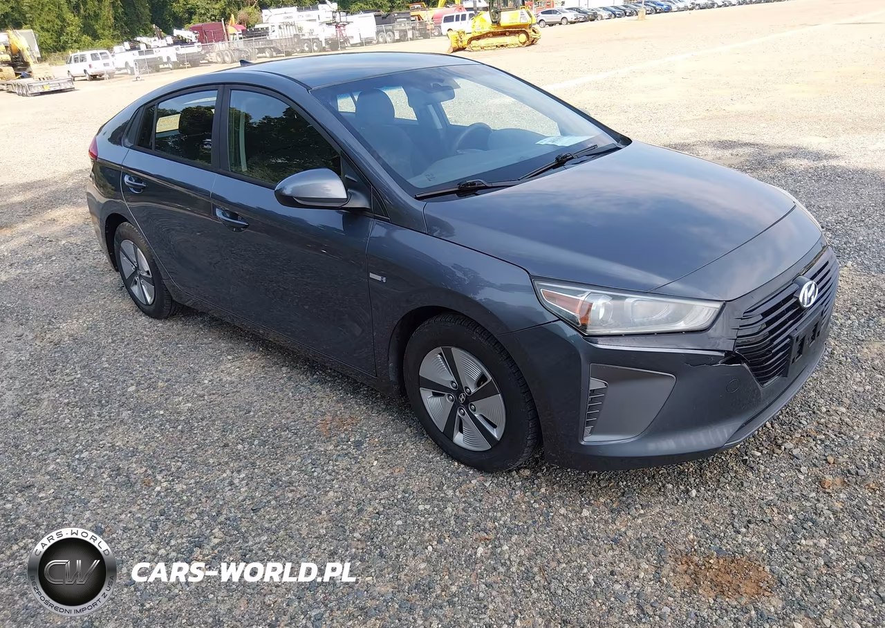 2019 Hyundai Ioniq Hybrid Blue VIN:KMHC65LC3KU155714 - 1