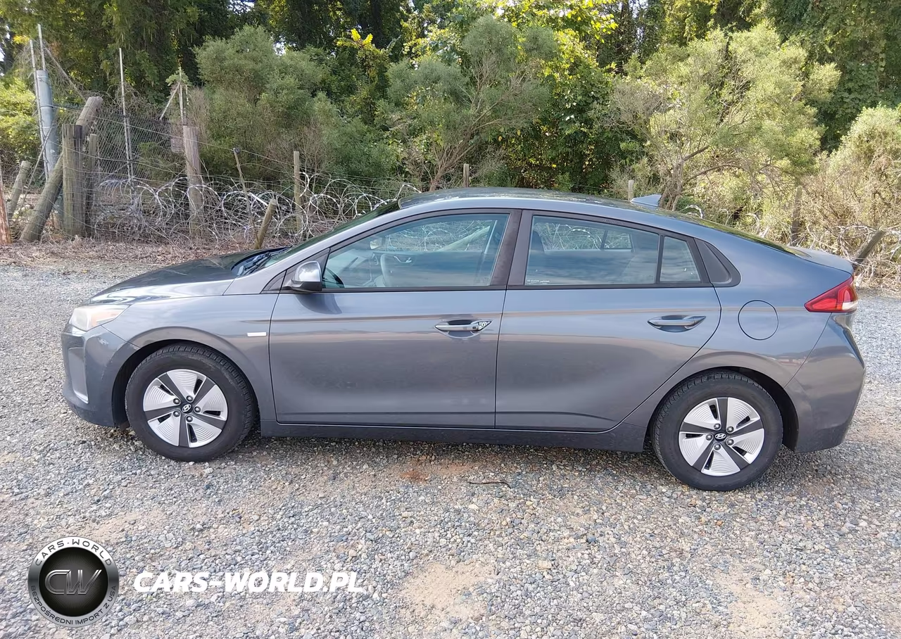 2019 Hyundai Ioniq Hybrid Blue VIN:KMHC65LC3KU155714 - 19