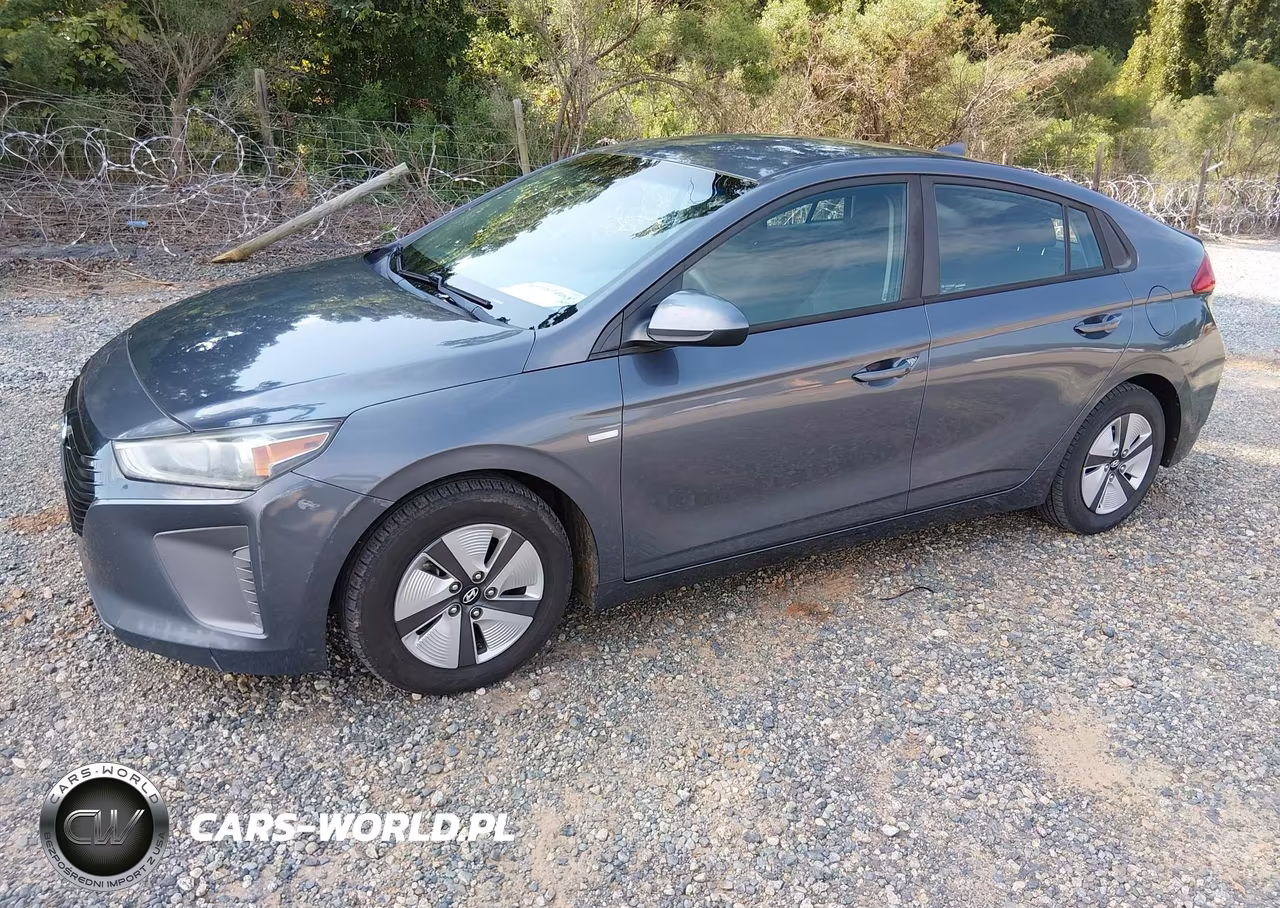 2019 Hyundai Ioniq Hybrid Blue VIN:KMHC65LC3KU155714 - 2