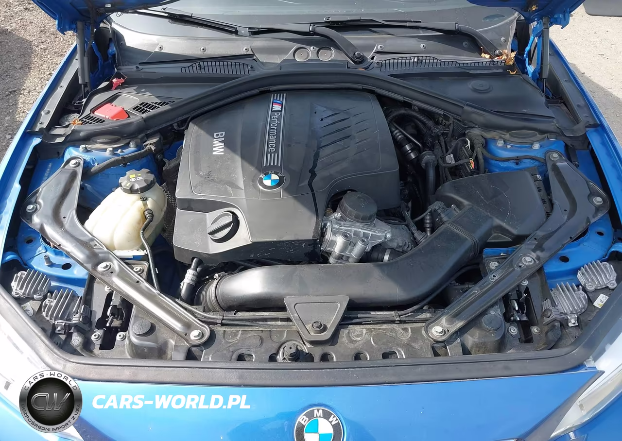 2016 BMW M235I VIN:WBA1M1C58GV394380 - 10