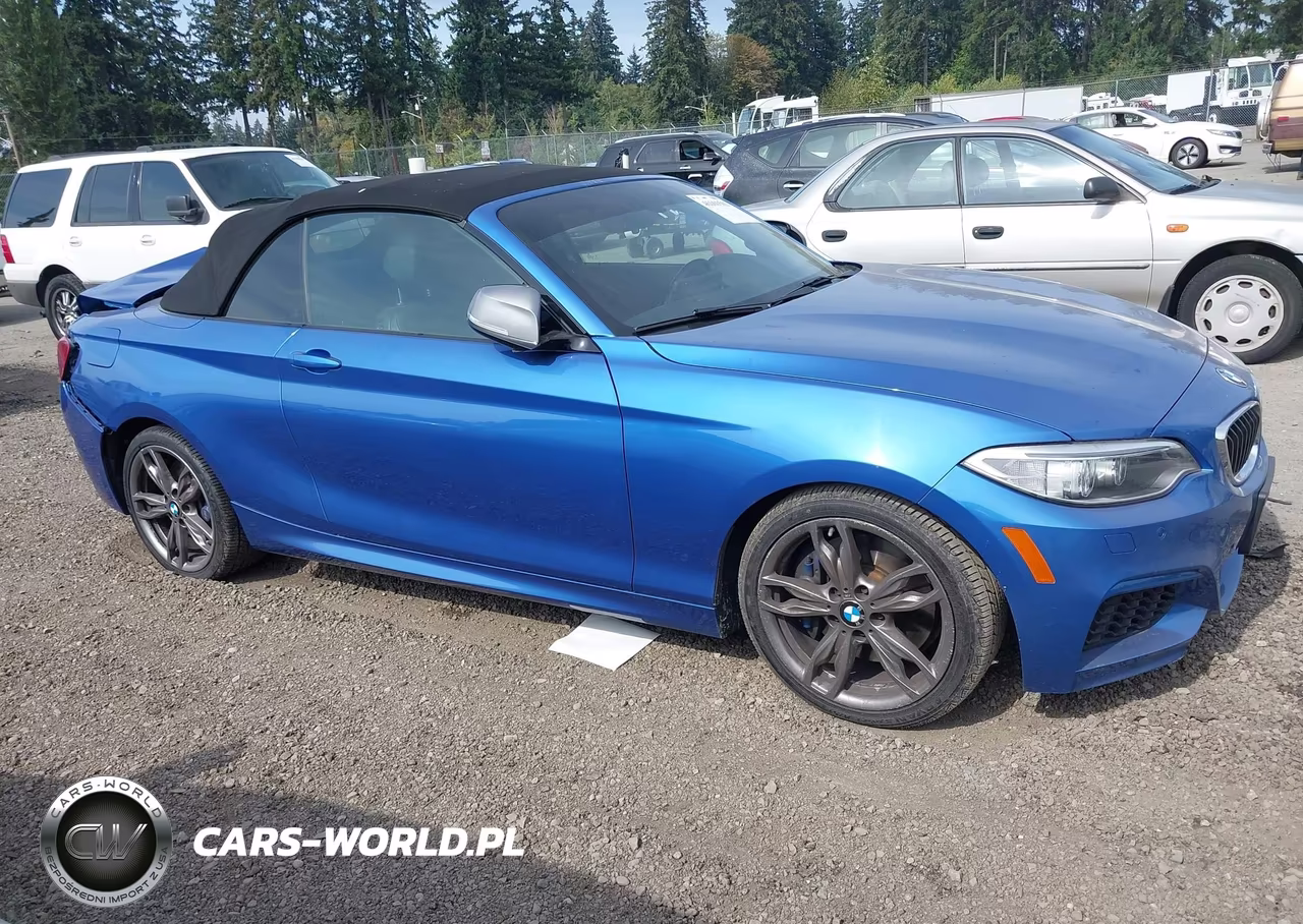 2016 BMW M235I VIN:WBA1M1C58GV394380 - 13