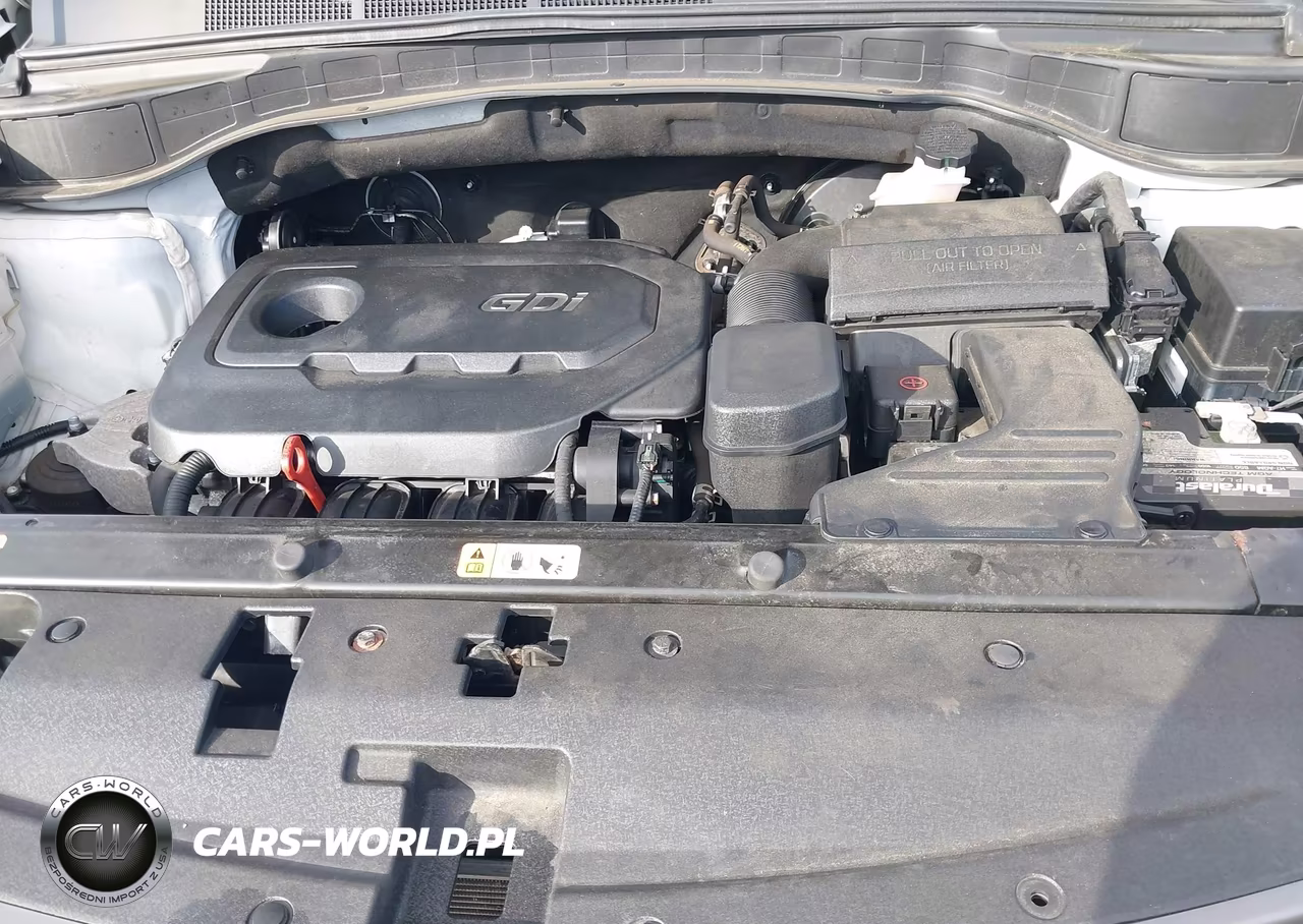 2017 Hyundai Santa Fe Sport 2.4L VIN:5NMZUDLB0HH014007 - 10